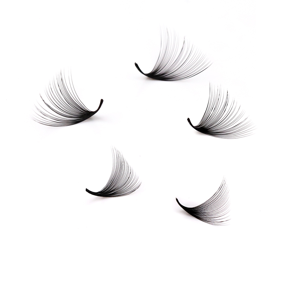 Lashprofessor XL Tray 3D 4D 5D – Eyelash Extension Remover At Home Bewertung und Preis