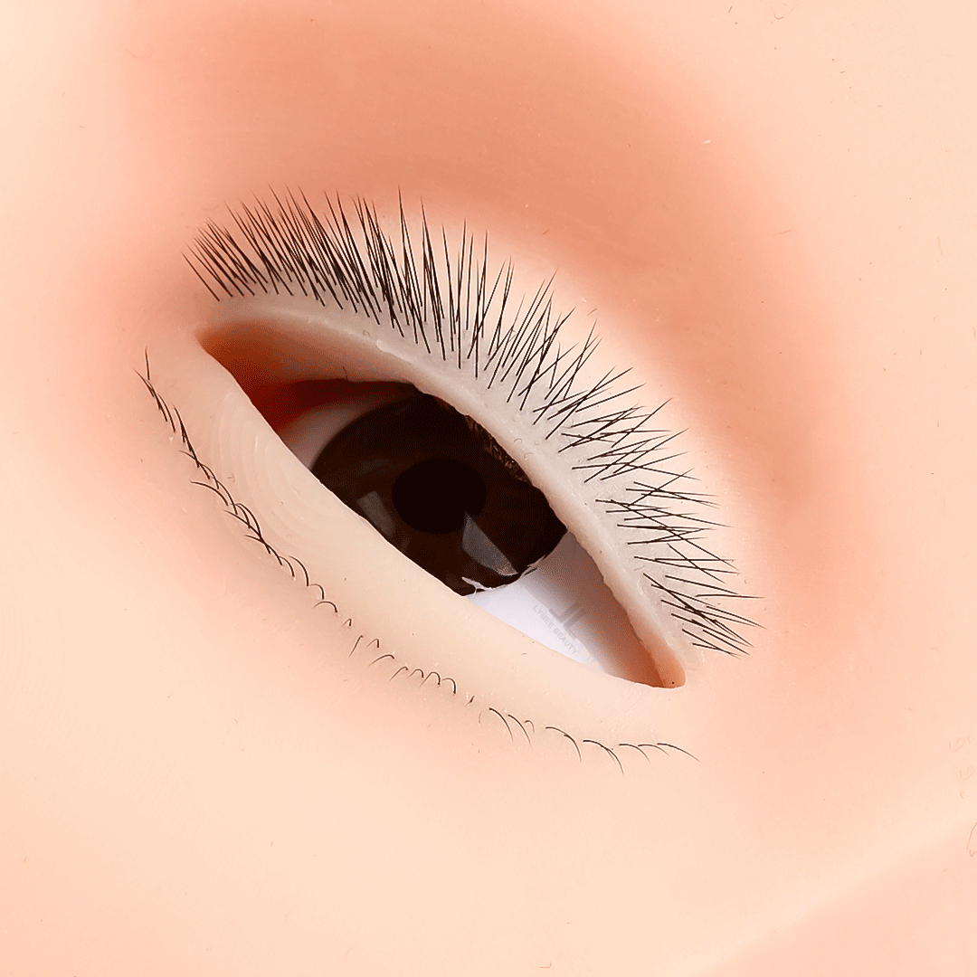 Heiße 4-lagige Mini-Schaufenst – Eyelash Extension Open Eye Bewertung und Preis